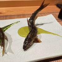 御料理 まつ山 - 