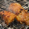 炭火ホルモン焼肉 ひゃくてん 溝の口