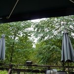 Tea，Coffee＆Lunch Dolce - 店内から見える景色