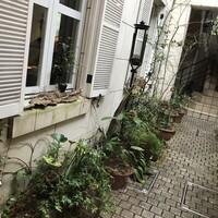 中國名菜 龍坊 代官山店 - 