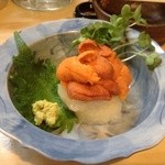 大貫 - 北海道海水雲丹