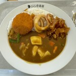 カレーハウスCoCo壱番屋 - 料理写真:日替わりバラエティカレー