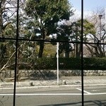 ヴィア・デル・ボルゴ - 店内から常盤公園を望む