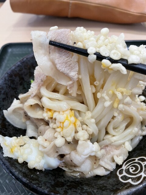 Hanamaru Udon Ikuno Katsuyamadori Ten photo 2