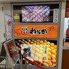 たこ焼き道楽 わなか 新大阪駅店