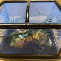 赤坂 菊乃井 - 昼懐石１５７３０円。八寸。蛸の子、小茄子翡翠煮、枇杷玉子、花付胡瓜ひしお味噌、鱧南蛮、枝豆、新甘藷、花海老共焼き、新甘薯蜜煮、青万願寺唐辛子 白つぶ貝辛子酢味噌