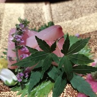 博多 鮨 貴山 - 