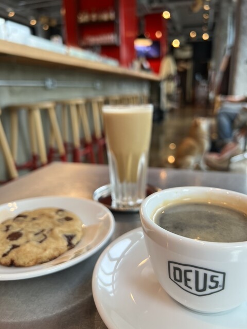 デウス エクス マキナ アサクサ （DEUS EX MACHINA ASAKUSA） - 本所