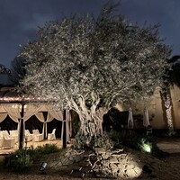 小笠原伯爵邸 - 