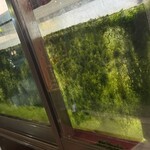 焼きもの家 慶 - 麻辣十食の水槽を覗くがもう何がなんだが分からない。一昨年の11月にここでナマズを見たのが自分のナマズ生活のきっかけだった