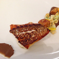 Wattle Tokyo - 