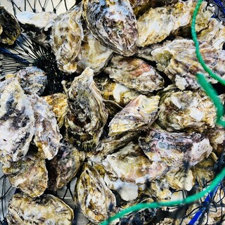 豪快イタリアン食堂 DESERT_2