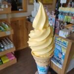 尾道ええもんや - はっさくソフト
