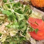 居間居酒屋 ハマヤマ - 野菜サラダ