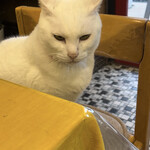 バーベキュー鈴鹿峠 - 