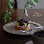 Nova 珈琲と焼菓子 - 