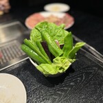 四谷三丁目 大衆焼肉 暴飲暴食 - 