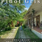 ピノ・グリ - 