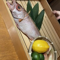 のどぐろ専門 銀座中俣 はなれ - 