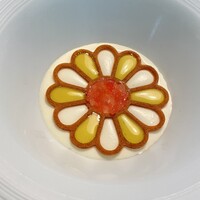 Plaiga TOKYO - 