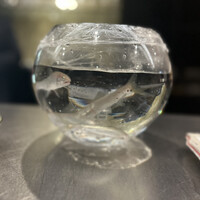 なにわ天ぷら 維心 - 