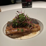 ブレストンコート ユカワタン - 