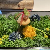 ブレストンコート ユカワタン - 