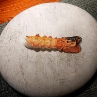 蒼 - 