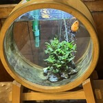 桜なべ　みの家 - 