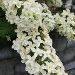 仲小路コーヒー&ワイン - 