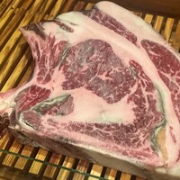 アカミヤコウシ - 