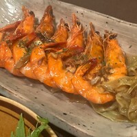 アカミヤコウシ - 