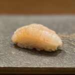 青山鮨孝 - 甘エビ