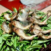 常 - 天竜川の鮎炭火焼き