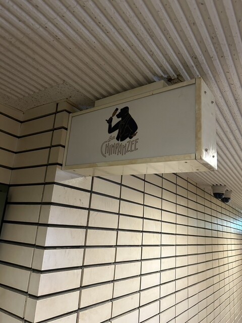 Bar CHIMPANZEE photo 2