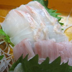 谷中 鳥よし - ホシガレイですねん