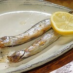 桶家乃隠居 - 本ししゃものオス(上)、メス(下)