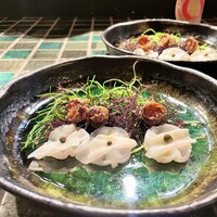 シャイニーアウル 表参道 - 