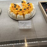 フォルテシモ アッシュ - 