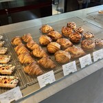 フォルテシモ アッシュ - 