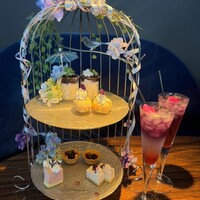 渋谷 Blue bird - 