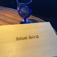 渋谷 Blue bird - 