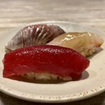 253311294 - 赤身・ヒラメ・鯵
