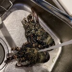 プライベートコンドミニアム ヴィラゼ - 