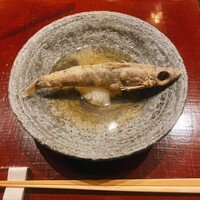 感情 - 