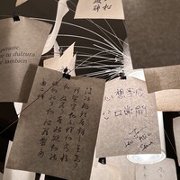 カンテサンス - 