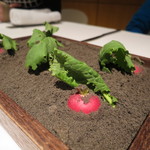 ライラ - ラディッシュ 塩バター