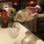 アピシウス - Antipodes