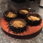 アルギュロス - 