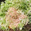 汁なし担担麺専門 キング軒  神田スタンド